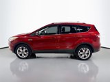Used 2014 Ford Escape Titanium w/ Equipment Group 401A image 4