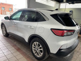 Used 2020 Ford Escape SE image 3