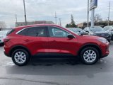 Certified 2023 Ford Escape Active w/ Tech Pack #1 image 4