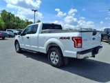 Used 2016 Ford F150 XLT image 6