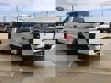 New 2025 Ford F150 STX image 5