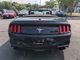 Used 2021 Ford Mustang Premium w/ Equipment Group 201A image 5