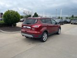 Used 2014 Ford Escape Titanium image 5