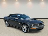 Used 2009 Ford Mustang GT Premium image 3