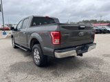 Used 2015 Ford F150 XLT image 5