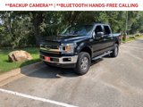 Used 2019 Ford F150 XLT w/ Equipment Group 302A Luxury image 3