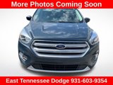 Used 2019 Ford Escape SEL image 2