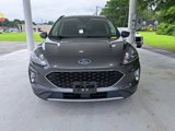 Used 2020 Ford Escape SEL image 2