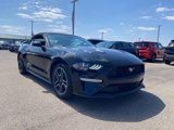 Used 2022 Ford Mustang Premium image 3