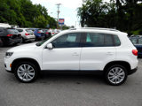 Used 2014 Volkswagen Tiguan SEL image 2