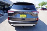 Used 2020 Ford Escape SE image 5
