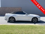 Used 2019 Ford Mustang GT Premium w/ Equipment Group 401A image 4