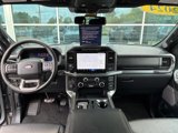 Certified 2024 Ford F150 XLT w/ Equipment Group 303A High image 2