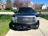 Used 2010 Ford F150 Platinum image 3