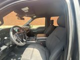 Used 2019 Ford F150 XLT w/ Equipment Group 302A Luxury image 6