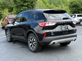 Certified 2020 Ford Escape SE Sport image 6