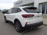 New 2025 Ford Escape ST-Line w/ Tech Pack #1 image 4