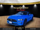 Used 2022 Ford Mustang Premium image 3