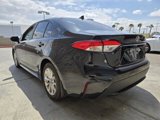 Used 2021 Toyota Corolla LE w/ LE Premium Package image 3