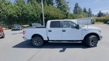 Used 2012 Ford F150 XLT w/ XLT Convenience Pkg image 5