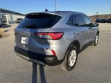Used 2022 Ford Escape SE w/ Convenience Package image 3