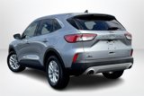 Used 2022 Ford Escape SE w/ Cold Weather Package image 4