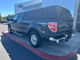 Used 2014 Ford F150 Lariat w/ Equipment Group 502A Luxury image 2
