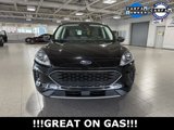 Used 2022 Ford Escape SE w/ Convenience Package image 3