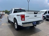 Used 2015 Ford F150 XLT w/ Equipment Group 301A Mid image 5