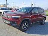 Used 2022 Jeep Compass Trailhawk w/ Trailhawk Elite Group image 4