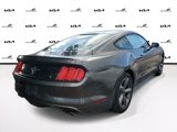 Used 2016 Ford Mustang Coupe w/ Equipment Group 051A image 4