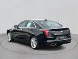 Certified 2022 Cadillac CT4 Premium Luxury w/ Climate Package image 3