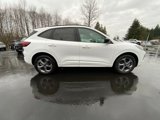 Used 2023 Ford Escape ST-Line image 4