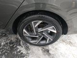 New 2025 Hyundai Elantra SEL image 6