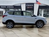 Used 2019 Ford Escape Titanium image 4
