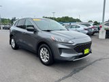 Used 2022 Ford Escape SE image 3