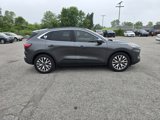 Used 2020 Ford Escape Titanium image 2
