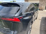Used 2019 Lexus NX 300h AWD image 3