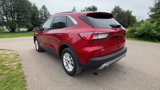 Used 2020 Ford Escape SE image 3