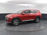 Used 2023 Hyundai Santa Fe SEL w/ Premium Package image 5