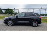 Used 2022 Ford Escape SEL image 4