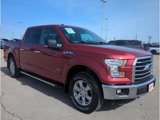 Used 2016 Ford F150 XLT w/ Equipment Group 302A Luxury image 2