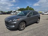 Used 2022 Ford Escape SE image 3
