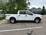 Used 2015 Ford F150 XLT image 4