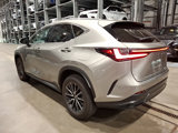 Certified 2024 Lexus NX 350 AWD image 3