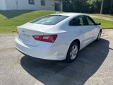 Certified 2024 Chevrolet Malibu LT image 4