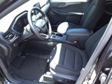Used 2024 Ford Escape Active image 4