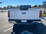 New 2024 Ford F150 XL w/ Equipment Group 103A High image 6