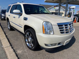Used 2009 Cadillac Escalade 4WD Hybrid image 6