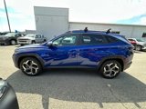 Used 2022 Hyundai Tucson SEL w/ Convenience + Premium Package image 6